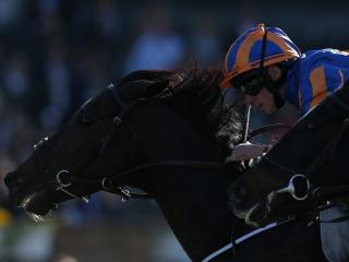 Ryan Moore rides seven at Newmarket on Saturday